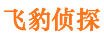 南市外遇出轨调查取证